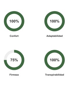 Ion Climatic Shenergy Mattress 2