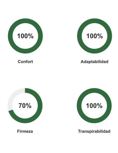 Colchão Viscopremium Evolution