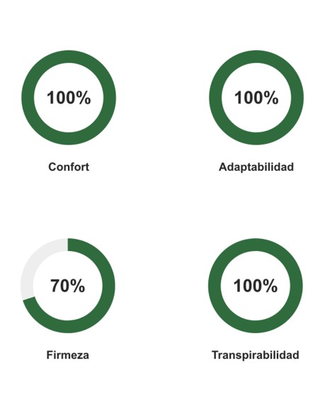 Colchão Viscopremium Evolution