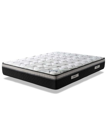 Viscopremium Evolution Mattress