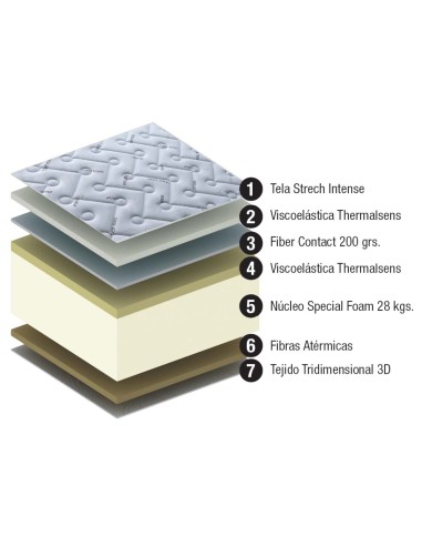 Viscopremium Evolution Mattress