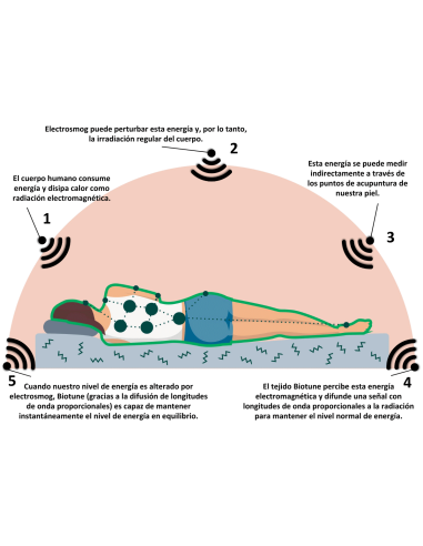 Scudo Protection Plus Mattress